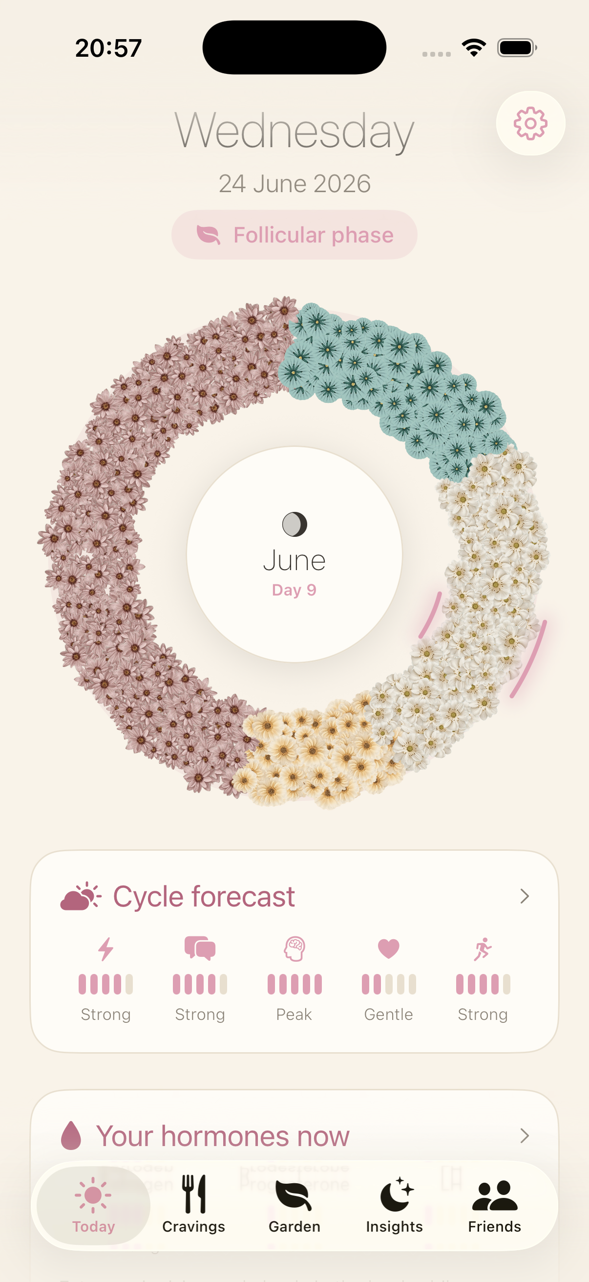 LunarFlow Today screen
